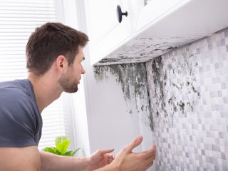 How to Deal with Mold in Your Home | Rosemead How to Deal with Mold in Your Home | Rosemead CA